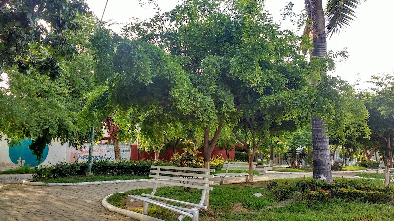 Parque de arboledas